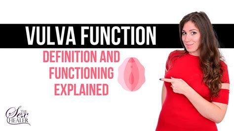 vulva porn|Vulva: Location, Anatomy, Function, Conditions & Care.